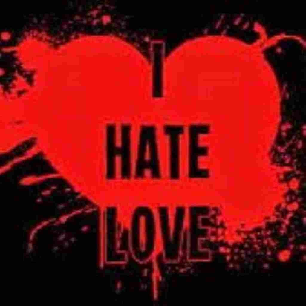 I Hate Love DP