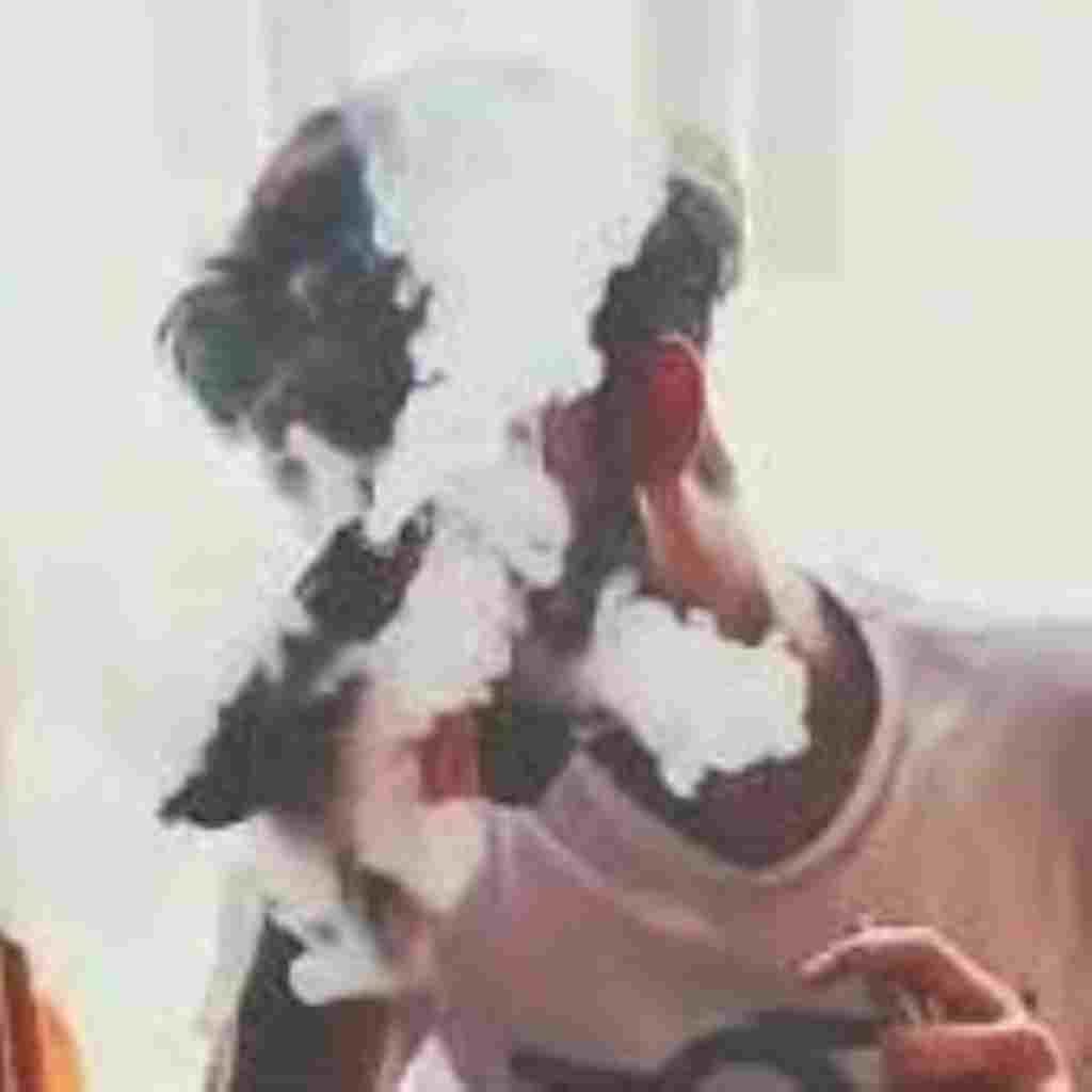 Single Instagram DP Boy